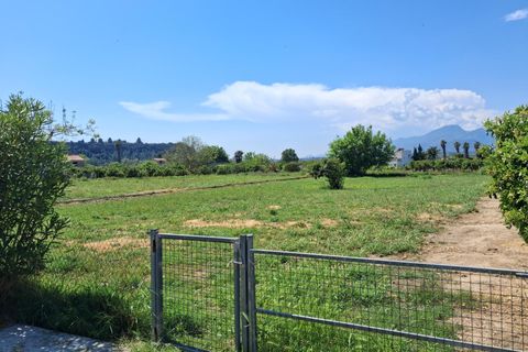 Landejendom i Xerta, Tarragona, Xerta - € 115.000 | Ref: EXP14042/8930 - foto 33