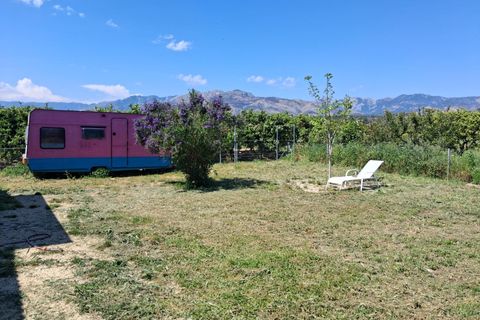 Landejendom i Xerta, Tarragona, Xerta - € 115.000 | Ref: EXP14042/8930 - foto 34