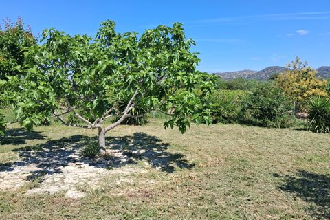 Landejendom i Xerta, Tarragona, Xerta - € 115.000 | Ref: EXP14042/8930 - foto 40