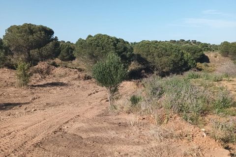 Terreno en Ayamonte, Huelva, Ayamonte - € 65.000 | Ref: RAC002291/10841 - photo 1