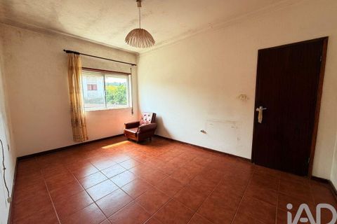 Byhus i Viana do Castelo, Viana do Castelo, Viana do Castelo - € 220.000 | Ref: 866038 - foto 10