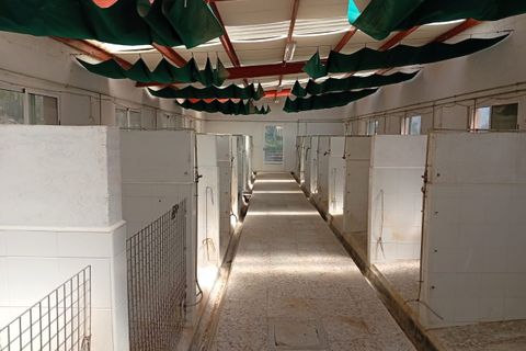 Masia a Salinas, Alicante, Salinas - € 470.000 | Ref: P5428 - foto 6