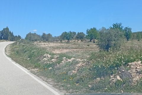 Tomt i Salinas, Alicante, Salinas - € 45 000 | Ref: P5426 - foto 2