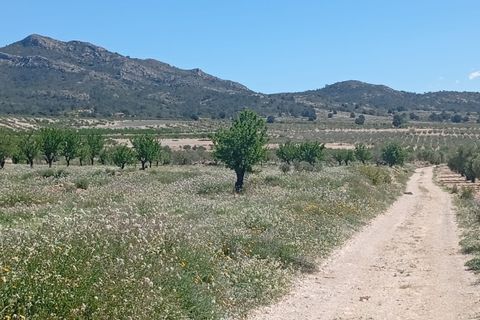 Tomt i Salinas, Alicante, Salinas - € 45 000 | Ref: P5426 - foto 3