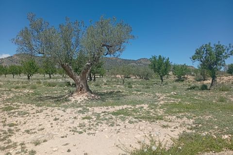 Tomt i Salinas, Alicante, Salinas - € 45 000 | Ref: P5426 - foto 4