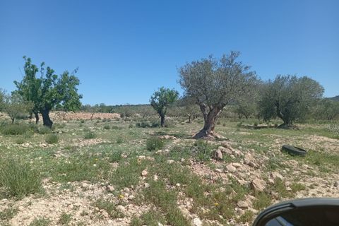 Tomt i Salinas, Alicante, Salinas - € 45 000 | Ref: P5426 - foto 6