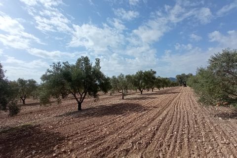 Helårsgrund i Salinas, Alicante, Salinas - € 99.995 | Ref: P5361 - foto 2