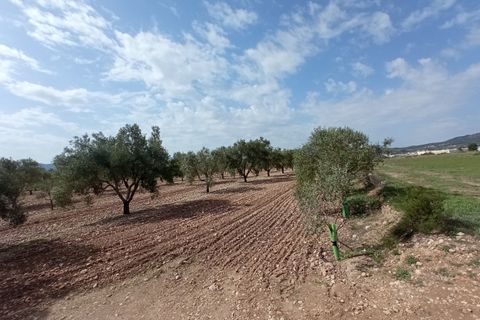Helårsgrund i Salinas, Alicante, Salinas - € 99.995 | Ref: P5361 - foto 4