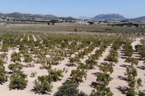 Helårsgrund i Salinas, Alicante, Salinas - € 99.995 | Ref: P5361 - foto 9