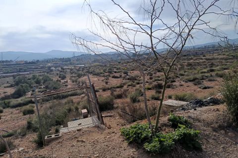Cave house i Monovar, Alicante, Monovar - € 66.000 | Ref: P5336 - foto 3