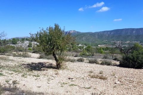 Helårsgrund i Monovar, Alicante, Monovar - € 39.999 | Ref: P5379 - foto 2