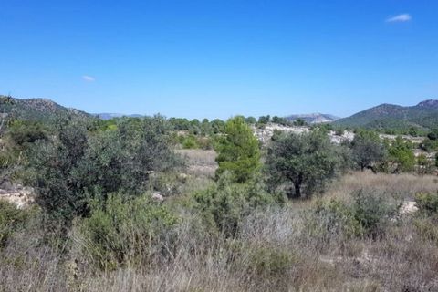 Helårsgrund i Monovar, Alicante, Monovar - € 39.999 | Ref: P5379 - foto 4