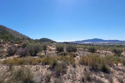 Terra a Monovar, Alicante, Monovar - € 35.000 | Ref: P5376 - foto 4