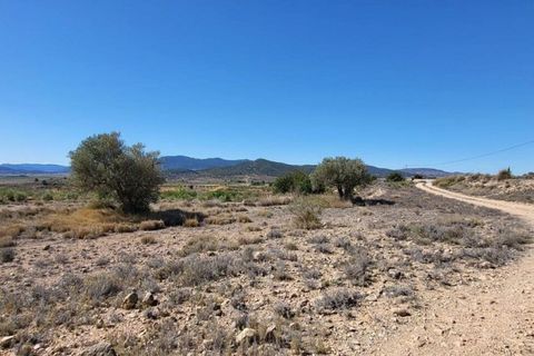 Terra a Monovar, Alicante, Monovar - € 35.000 | Ref: P5376 - foto 6