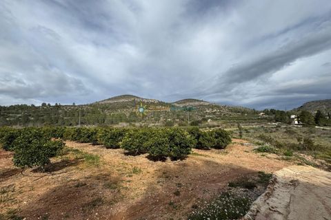 Terra a Beniganim, Valencia, Beniganim - € 29.000 | Ref: PNPT0027 - foto 11