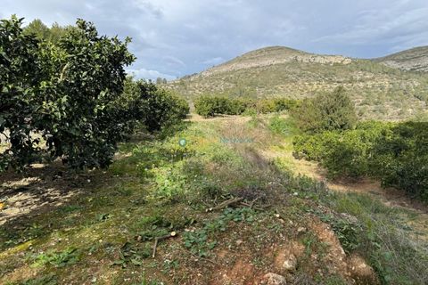 Terra a Beniganim, Valencia, Beniganim - € 29.000 | Ref: PNPT0027 - foto 9