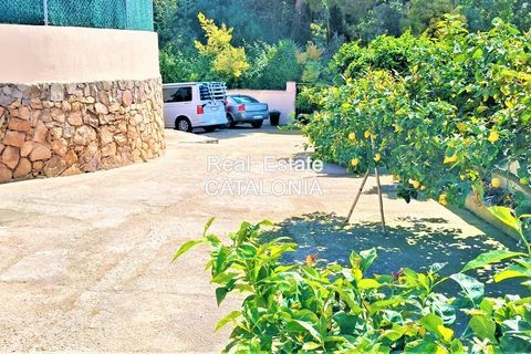 Villa a Lloret De Mar, Gerona, Lloret De Mar - € 470.000 | Ref: VC-4204 - foto 33