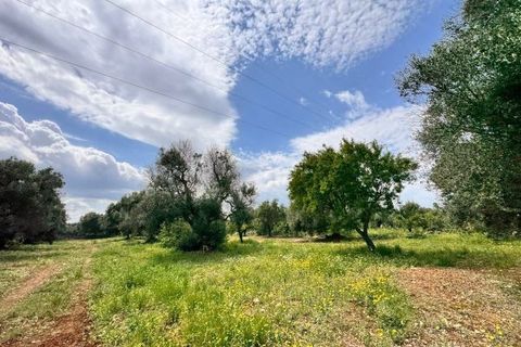 Helårsgrund i Carovigno, Brindisi, Carovigno - € 90.000 | Ref: TER5 - foto 2