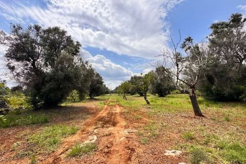 Helårsgrund i Carovigno, Brindisi, Carovigno - € 90.000 | Ref: TER5 - foto 1