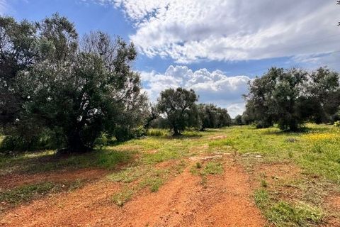 Helårsgrund i Carovigno, Brindisi, Carovigno - € 90.000 | Ref: TER5 - foto 4