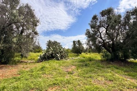 Helårsgrund i Carovigno, Brindisi, Carovigno - € 90.000 | Ref: TER5 - foto 11