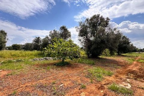Helårsgrund i Carovigno, Brindisi, Carovigno - € 90.000 | Ref: TER5 - foto 16