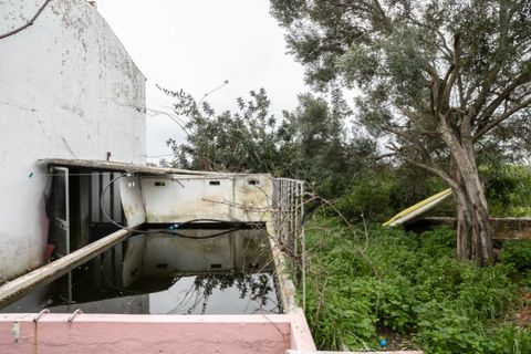 Villa i Moncarapacho, Faro, Moncarapacho - € 600.000 | Ref: CAS_707 - foto 11