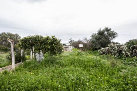 Villa i Moncarapacho, Faro, Moncarapacho - € 600.000 | Ref: CAS_707 - foto 12