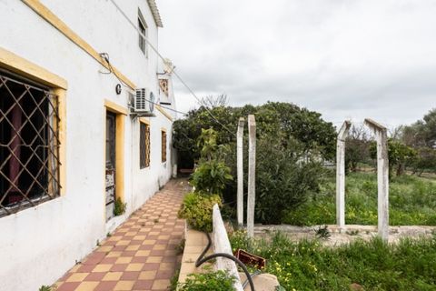 Villa i Moncarapacho, Faro, Moncarapacho - € 600.000 | Ref: CAS_707 - foto 13