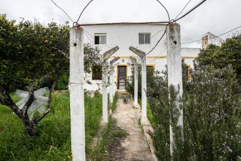 Villa i Moncarapacho, Faro, Moncarapacho - € 600.000 | Ref: CAS_707 - foto 14