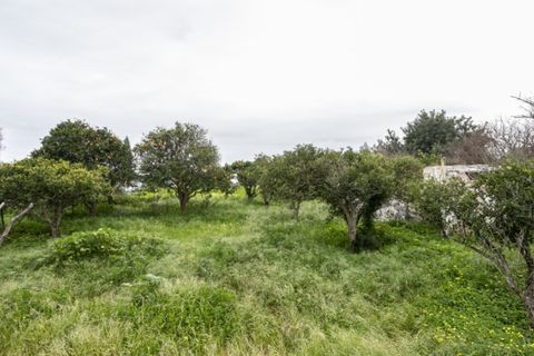 Villa i Moncarapacho, Faro, Moncarapacho - € 600.000 | Ref: CAS_707 - foto 15