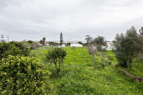 Villa i Moncarapacho, Faro, Moncarapacho - € 600.000 | Ref: CAS_707 - foto 20