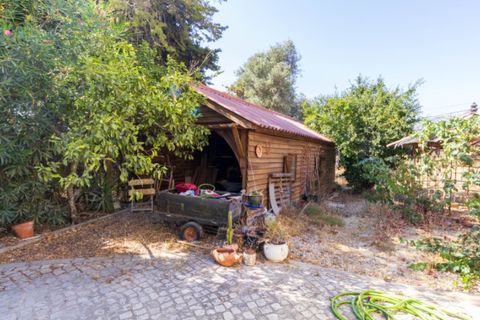 Villa i Alcantarilha, Faro, Alcantarilha - € 840.000 | Ref: CAS_431 - foto 34