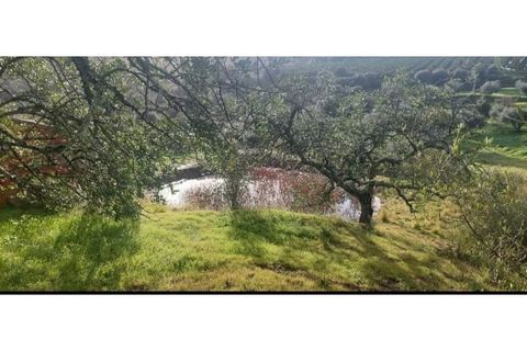 Tomt i Alte, Faro, Alte - € 167 000 | Ref: SÒL_629 - foto 6