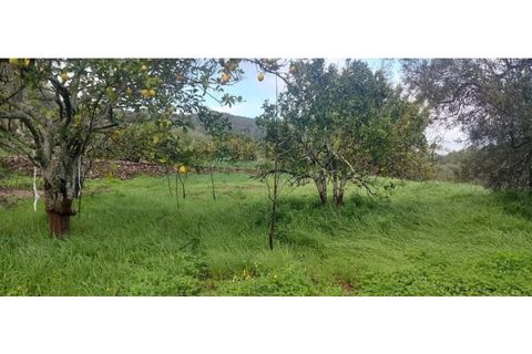 Tomt i Alte, Faro, Alte - € 167 000 | Ref: SÒL_629 - foto 9