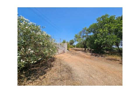 Farm i Silves, Faro, Silves - € 475.000 | Ref: I99P7291480 - foto 4