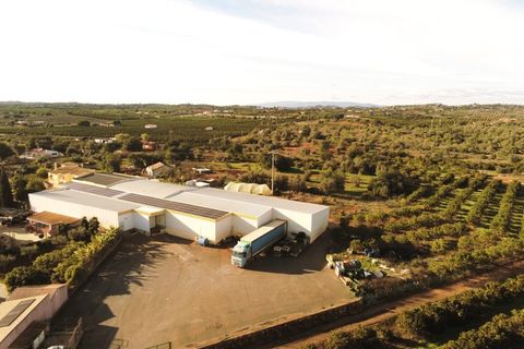 Erhvervsejendom i Silves, Faro, Silves - € 2.700.000 | Ref: FÀB_478 - foto 1