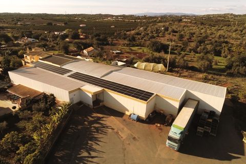 Erhvervsejendom i Silves, Faro, Silves - € 2.700.000 | Ref: FÀB_478 - foto 23