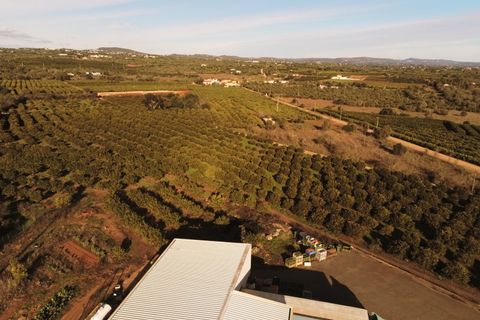 Erhvervsejendom i Silves, Faro, Silves - € 2.700.000 | Ref: FÀB_478 - foto 24