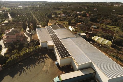 Erhvervsejendom i Silves, Faro, Silves - € 2.700.000 | Ref: FÀB_478 - foto 25