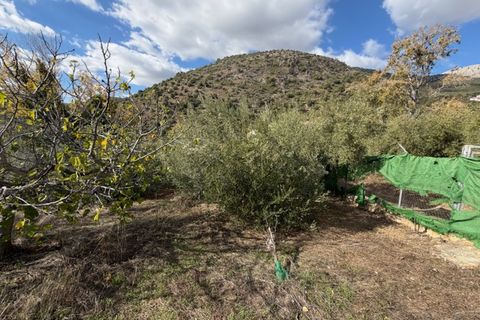 Landejendom i Periana, Malaga, Periana - € 109.000 | Ref: ID4044 - foto 19