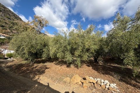 Landejendom i Periana, Malaga, Periana - € 109.000 | Ref: ID4044 - foto 16