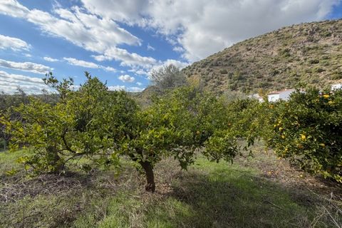 Landejendom i Periana, Malaga, Periana - € 109.000 | Ref: ID4044 - foto 13