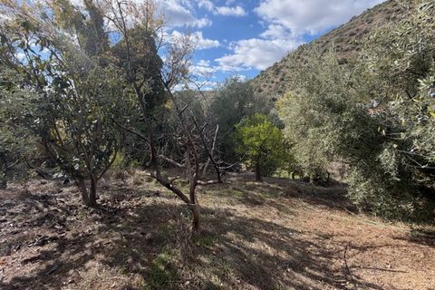 Landejendom i Periana, Malaga, Periana - € 109.000 | Ref: ID4044 - foto 18