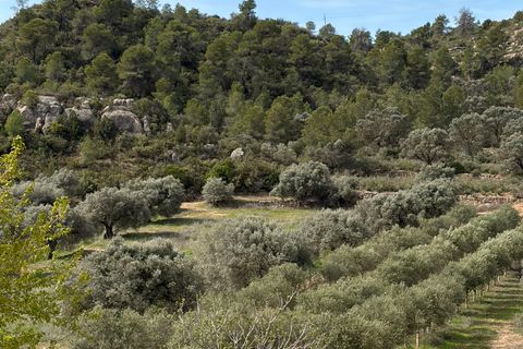 Landejendom i Flix, Tarragona, Flix - € 390.000 | Ref: Fli07 - foto 29