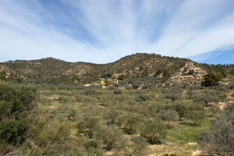 Landejendom i Flix, Tarragona, Flix - € 390.000 | Ref: Fli07 - foto 40