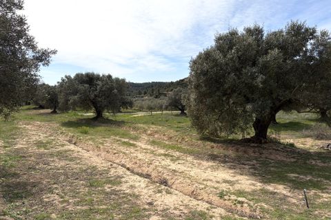 Landejendom i Flix, Tarragona, Flix - € 390.000 | Ref: Fli07 - foto 41