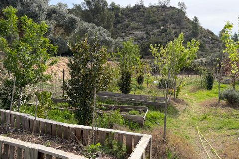 Landejendom i Flix, Tarragona, Flix - € 390.000 | Ref: Fli07 - foto 50