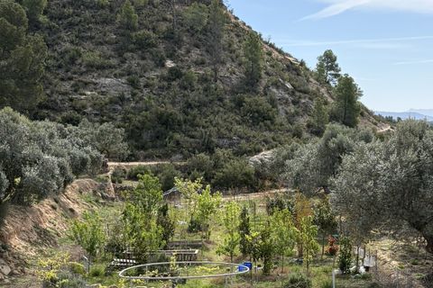 Landejendom i Flix, Tarragona, Flix - € 390.000 | Ref: Fli07 - foto 35