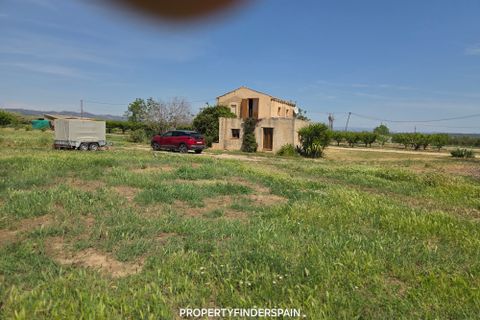 Landejendom i Ginestar, Tarragona, Ginestar - € 160.000 | Ref: 1017 Panela - foto 26